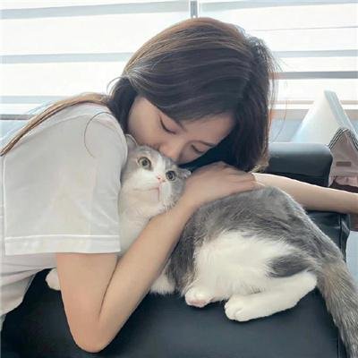 蒂科与鲨鱼